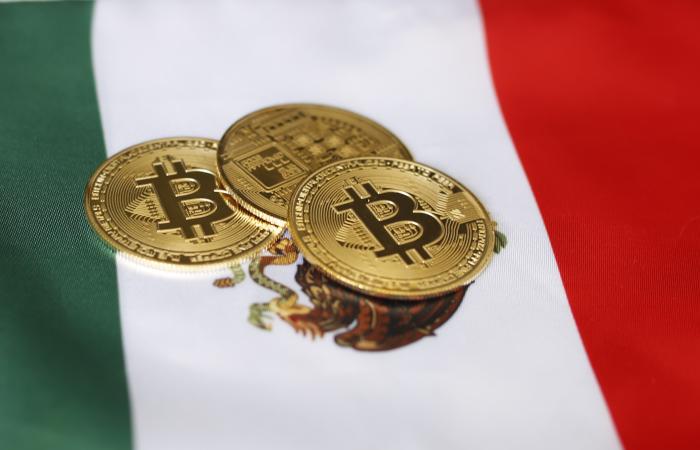 Criptomonedas en México: ¿Amigables con el medio ambiente o un desafío pendiente?