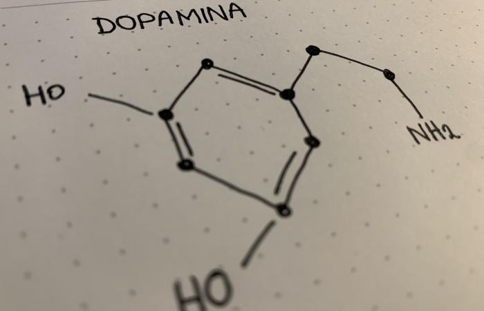 La dopamina: mito y realidad sobre el neurotransmisor del placer y la motivación