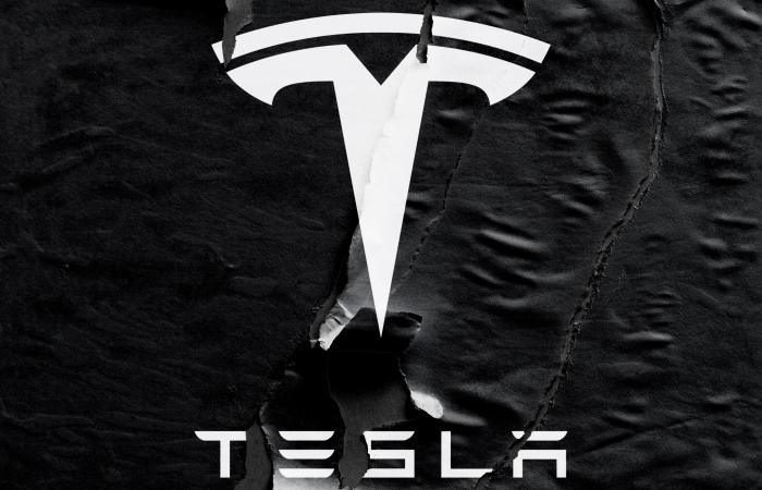 Protestas y boicots contra Tesla sacuden el mercado y la imagen de Elon Musk